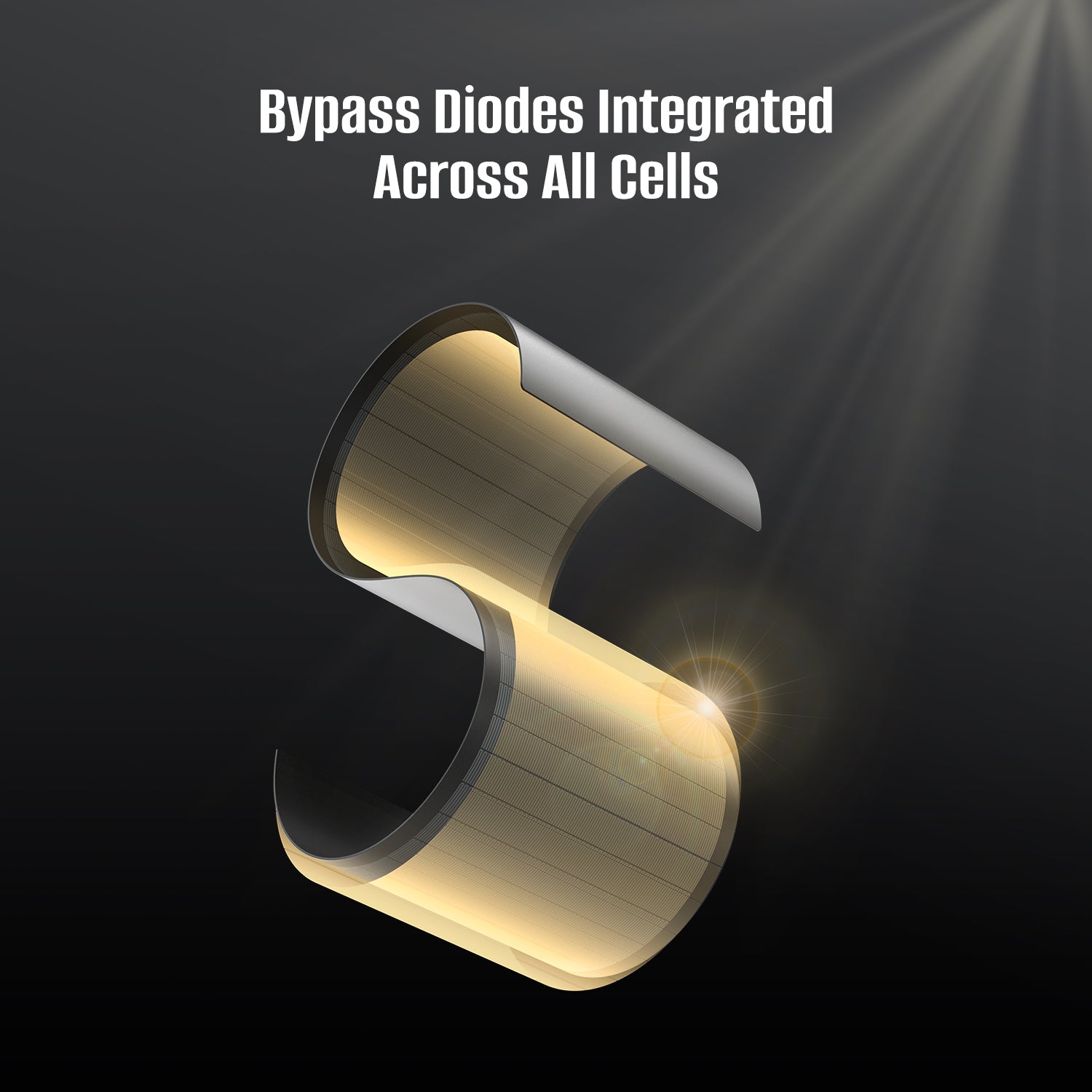 Rich Solar Mighty Max 80W 12V Flexible Solar Panel For RVs And Boats