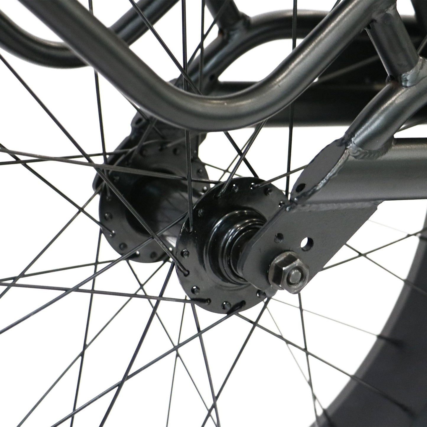 Eurorau Cargo Trailer 1 Wheel