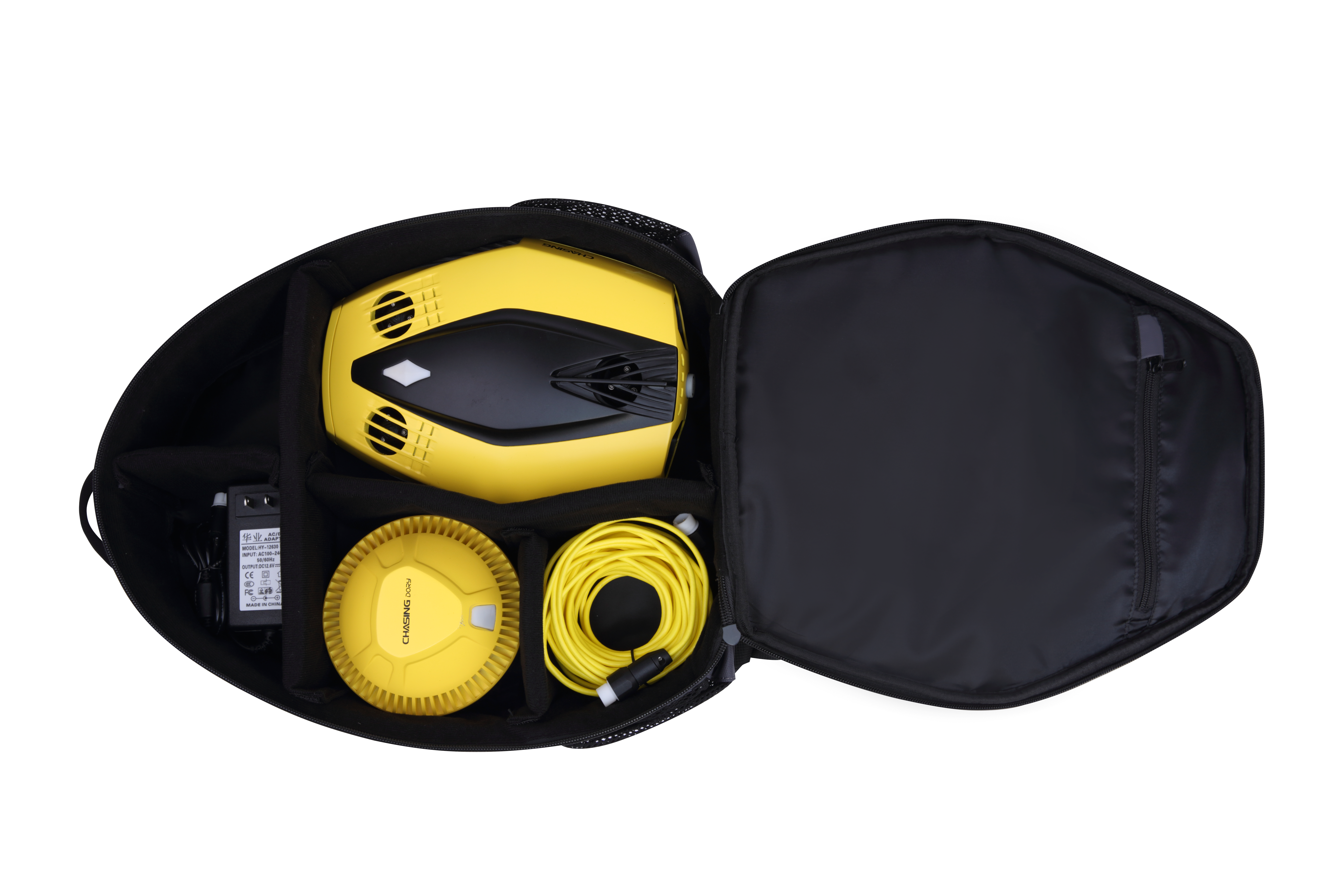 Chasing Dory Flash Pack