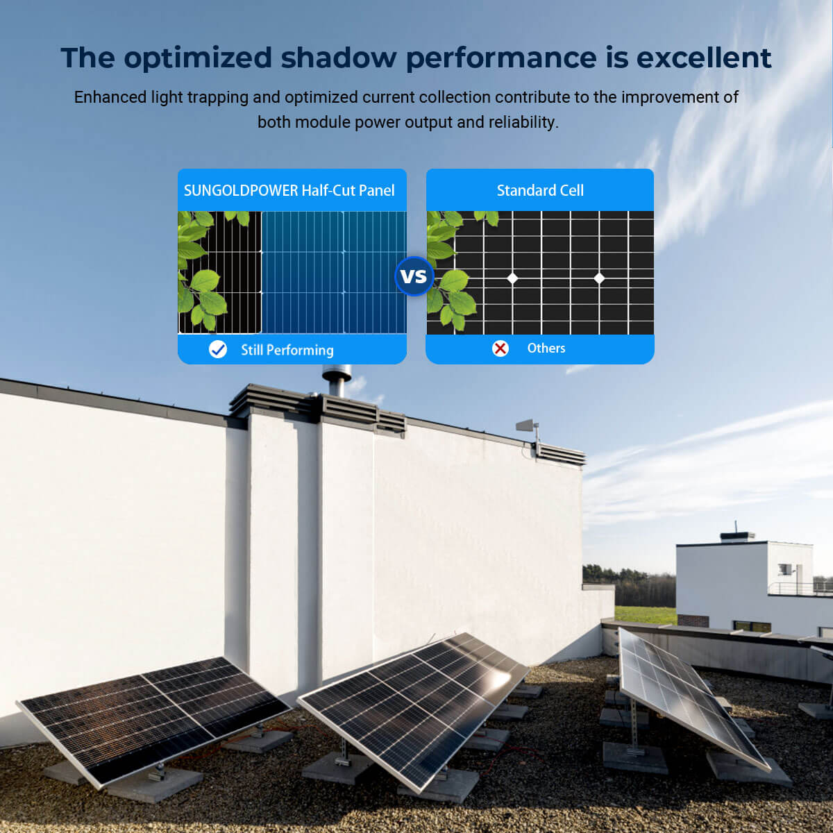 SunGoldPower Bifacial Solar Panel 560W SGP560SBD