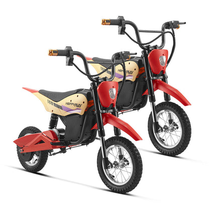 HappyRun Electric Bike K20