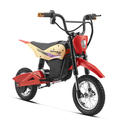 HappyRun Electric Bike K20