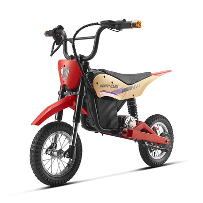 HappyRun Electric Bike K20