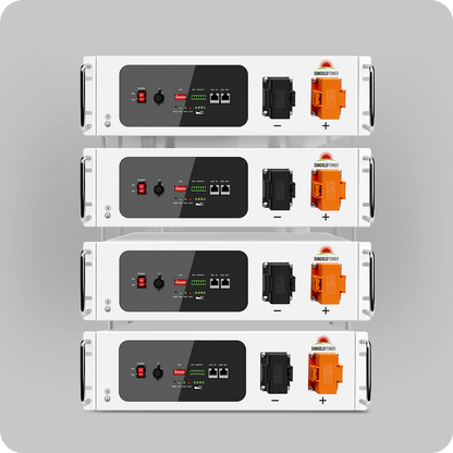 SunGoldPower Lithium Battery SelfHeating 48V 100AH SGH48100T