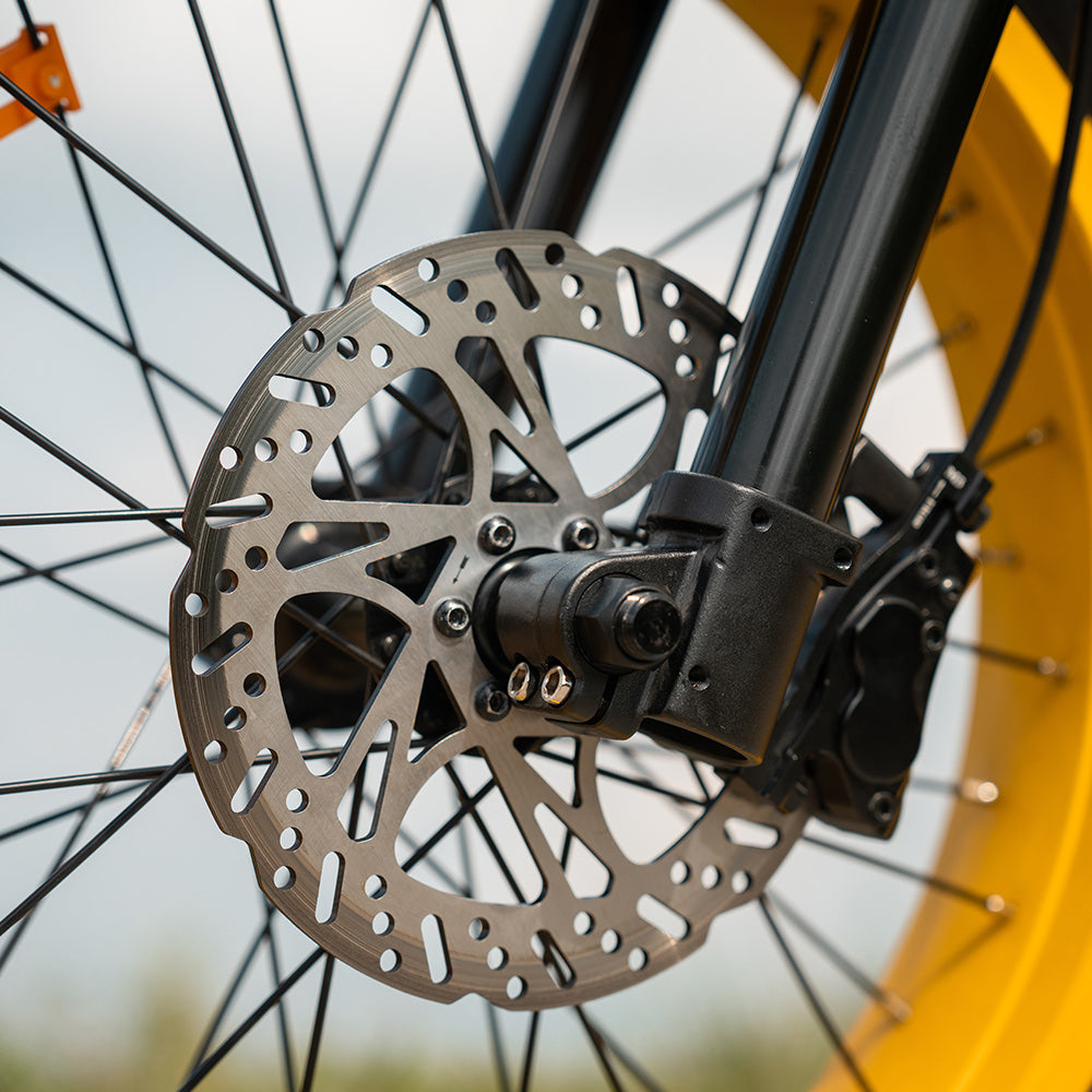 HappyRun Electric Bike G100 Pro