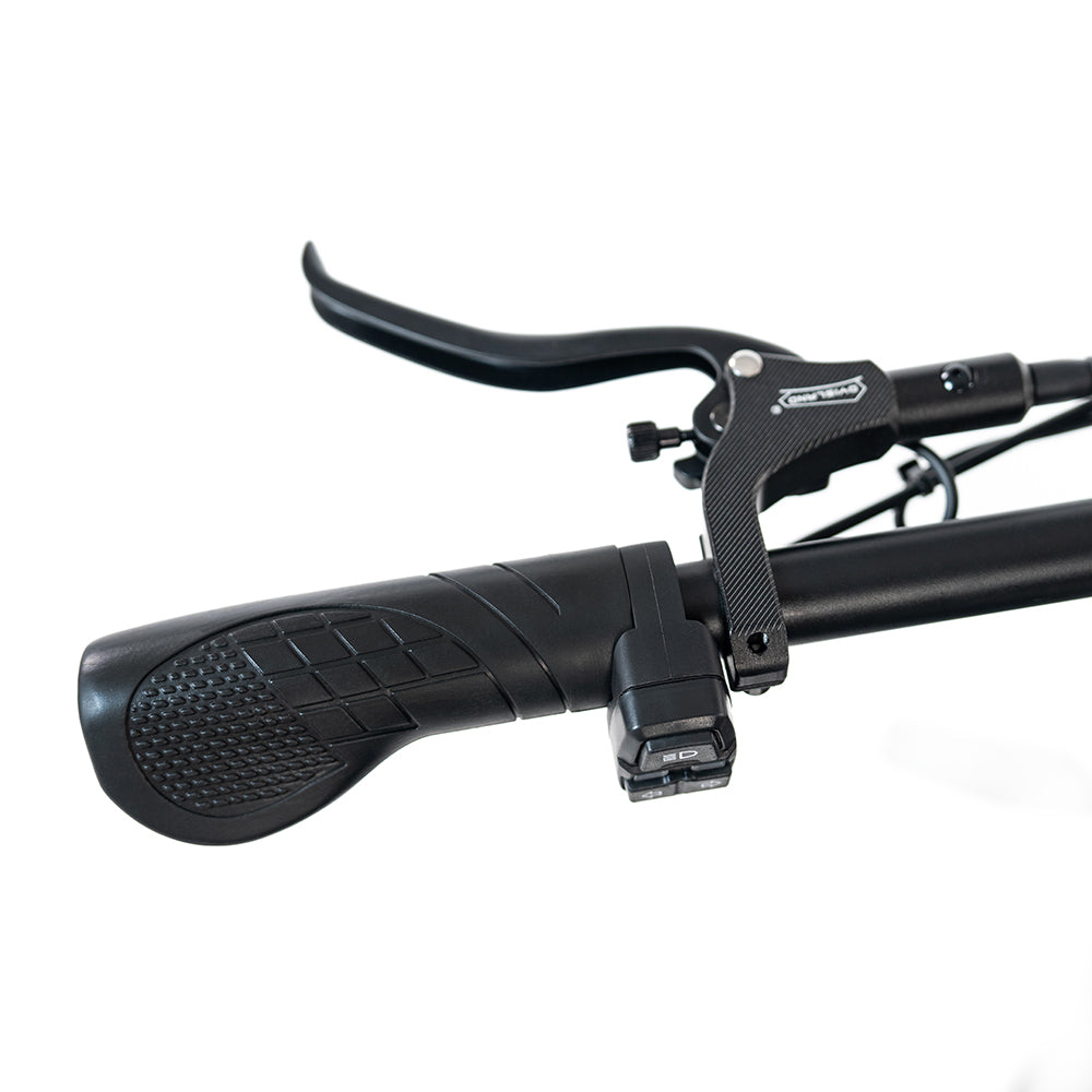 HappyRun Electric Cargo Bike G70 Pro