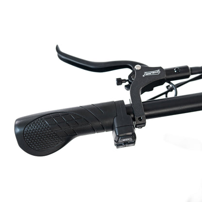 HappyRun Electric Cargo Bike G70 Pro