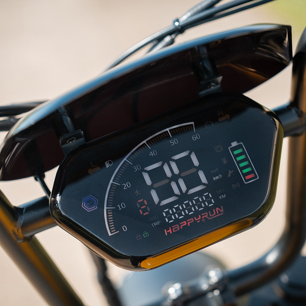 HappyRun Electric Bike G100 Pro