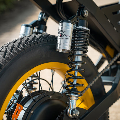 HappyRun Electric Bike G100 Pro