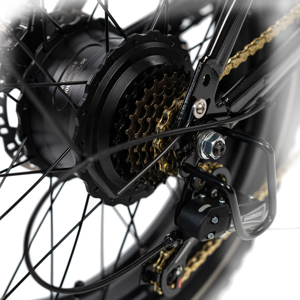 HappyRun Electric Cargo Bike G70 Pro