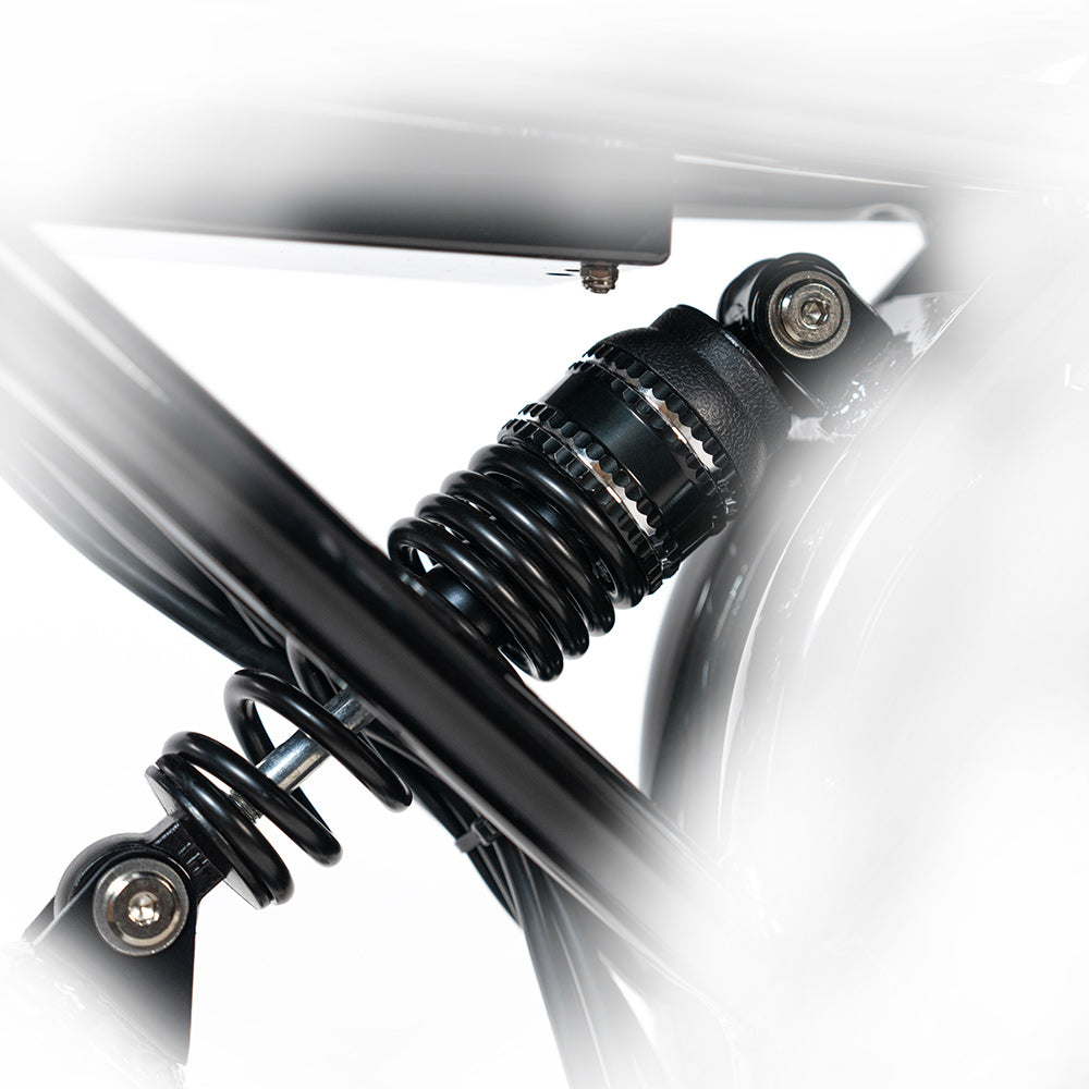 HappyRun Electric Cargo Bike G70