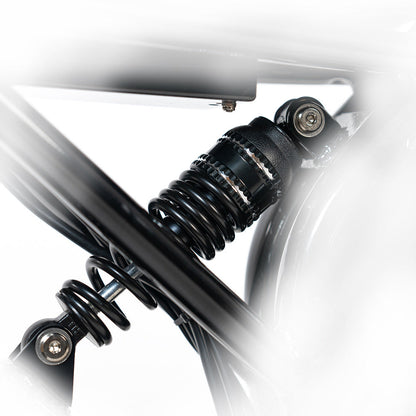 HappyRun Electric Cargo Bike G70