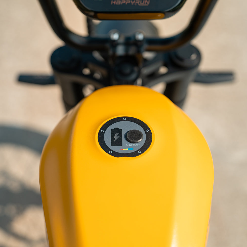 HappyRun Electric Bike G100 Pro