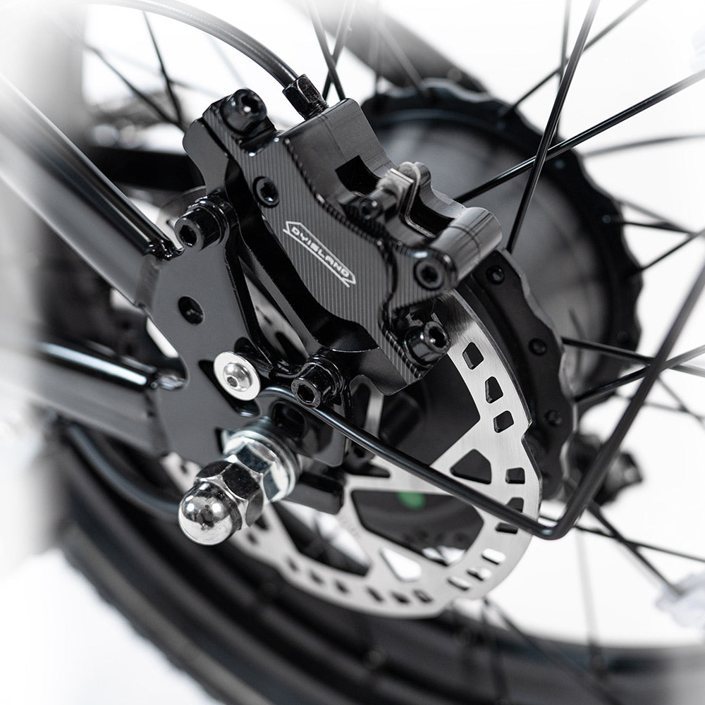 HappyRun Electric Cargo Bike G70 Pro