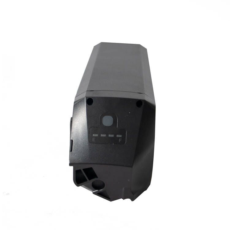 Eurorau Internal Battery 48V 14Ah