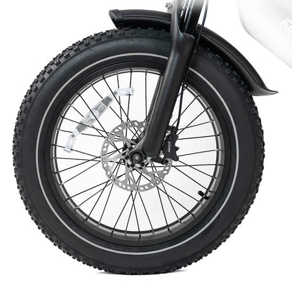 HappyRun Electric Cargo Bike G70