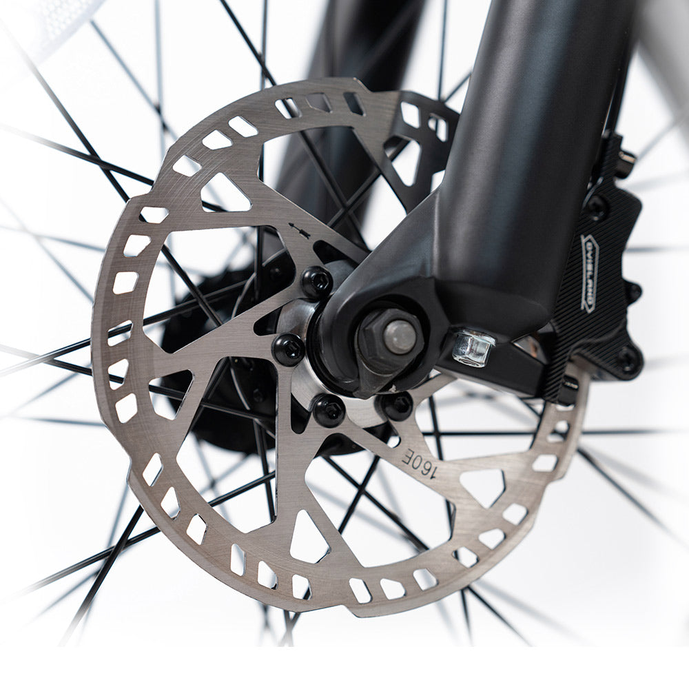 HappyRun Electric Cargo Bike G70