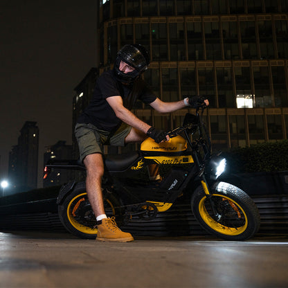 HappyRun Electric Bike G100 Pro