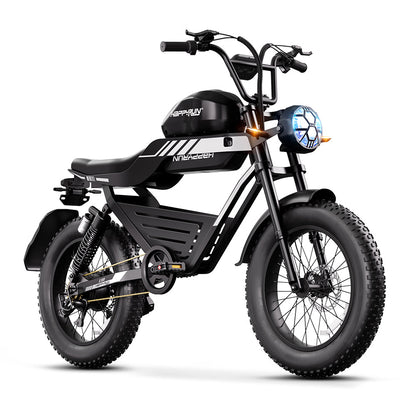 HappyRun Ebike 1000W G100