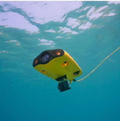 Chasing Gladius MINI S Standard 100M