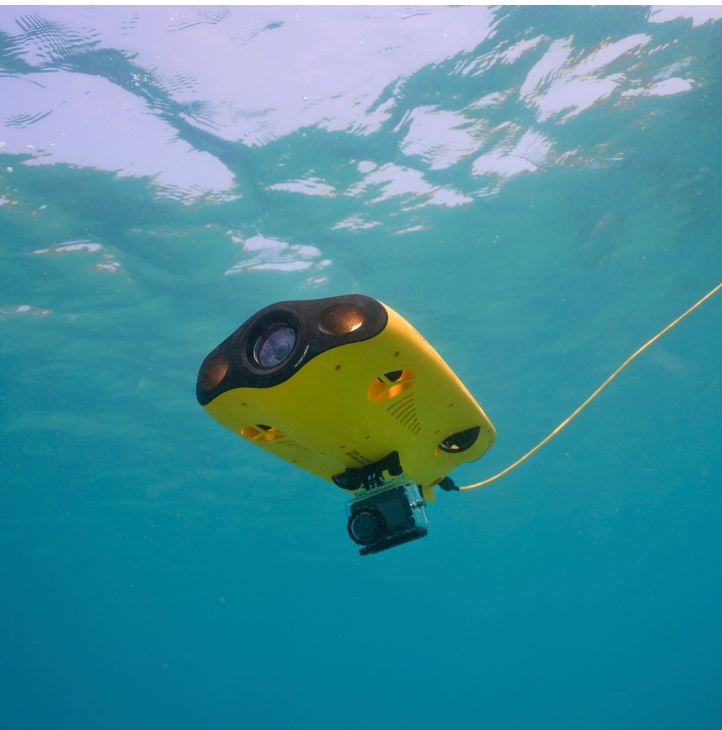 Chasing Gladius MINI S Standard 200M