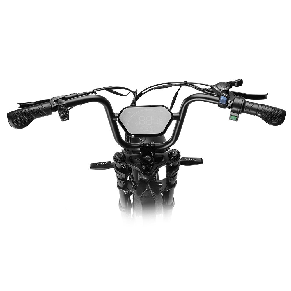 HappyRun Offroad Electric Bike G60 Pro