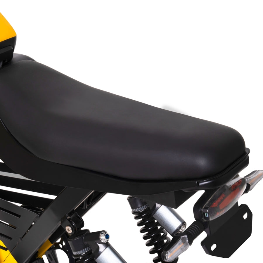 HappyRun Ebike 1000W G100