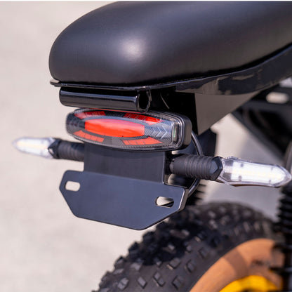 HappyRun Ebike 1000W G100