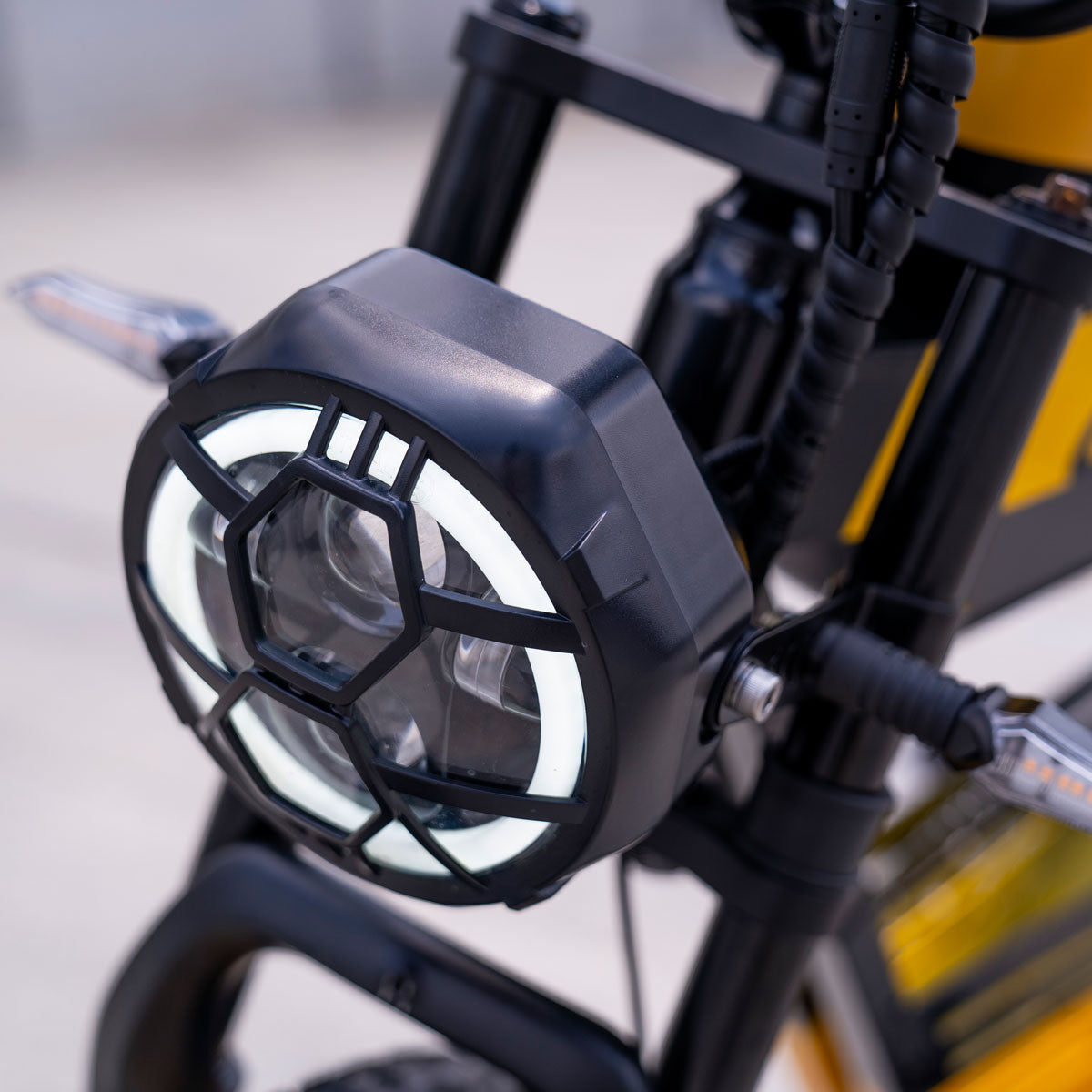 HappyRun Ebike 1000W G100