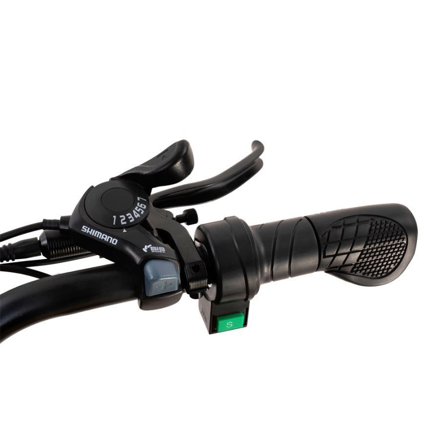 HappyRun Ebike G100 1000W