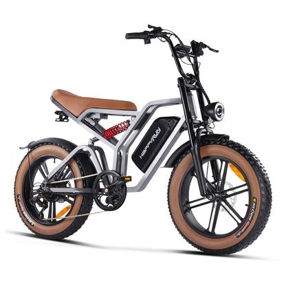 HappyRun Offroad Electric Bike G60 Pro