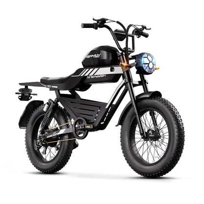 HappyRun Ebike 1000W G100