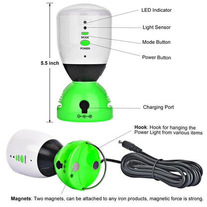 Natures Generator Power Light 4 Pack