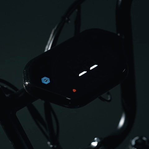 HappyRun Ebike 1000W G100