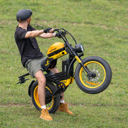 HappyRun Electric Bike G100 Pro