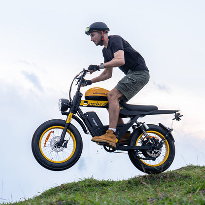 HappyRun Electric Bike G100 Pro