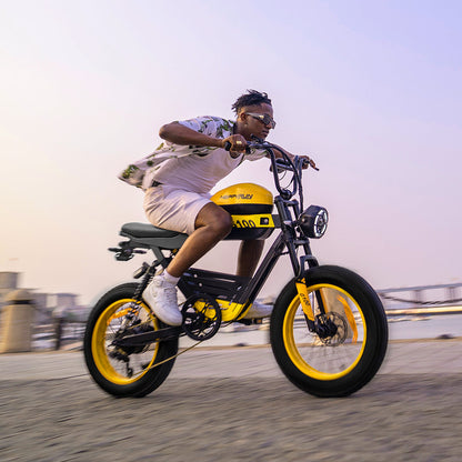 HappyRun Ebike 1000W G100