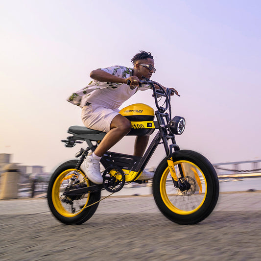 HappyRun Electric Bike G100
